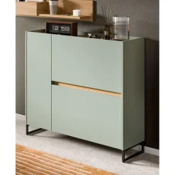 Hioshop Drive schoenenkast 1 deur- 2 vouwdeuren salvie decor