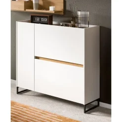 Hioshop Drive schoenenkast 1 deur- 2 vouwdeuren wit