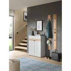 Hioshop Naro schoenenkast 2 deuren- 1 lade grijs