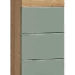 Hioshop Scout badkamerkast 2 deuren- 1 lade salvie decor- eiken decor