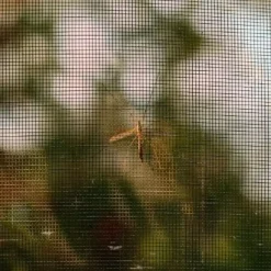 HIXA Raamhor 130x150 anti-insect 3 stuks