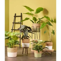 House of Seasons Ladderrek - L29 x B49 x H119 cm - Zwart