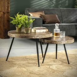 Hoyz - Salontafel Rond Metallic - Goudkleurig - Set van 2