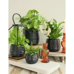 Ideas4seasons Plantenpot ribbel - zwart - D14 x H10 cm