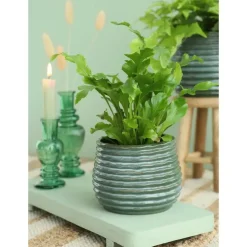 Ideas4seasons Plantenpot ribbel - donkergroen - D16 x H13 cm