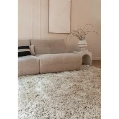 Interieur05 Hoogpolig Vloerkleed Polyester Pilo Beige - 150 x 80 cm