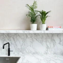 Kleine kamerpalmen - Set van 2 - Dypsis, Chamaedorea - Hoogte 25-40cm - ⌀12cm