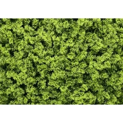 Kunsthaag wandpanelen - Mospaneel heldergroen - 100x100 cm