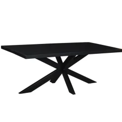 Livingfurn - Moderne Zwarte Eetkamertafel - Spider - Mangohout - 180 cm
