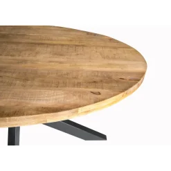 LivingFurn - Ovale Eetkamertafel Mangohout - Eettafel -160cm - Bruin