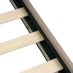 LONZAC - Bed met opbergruimte - Taupe - 180 x 200 cm - Fluweel