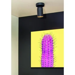 Lucide PUNCH Plafondspot - Zwart