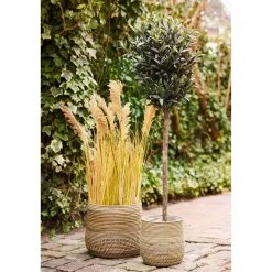 Mand Naturel Rotan - Set Van 2 - Moro Kubu