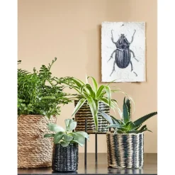 Mica Decorations Atlantic Mand voor Planten Set van 3