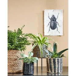 Mica Decorations Atlantic Mand voor Planten Set van 3