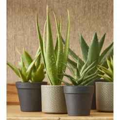 Mica Decorations Bloempot - taupe - keramiek - D13 x H12 cm