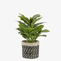 Mica Decorations Bonaparte Mand voor Planten Ø20 cm