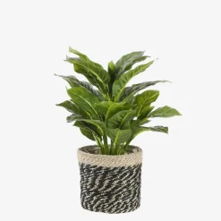 Mica Decorations Bonaparte Mand voor Planten Ø20 cm