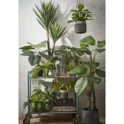 Mica Decorations Bonaparte Mand voor Planten Ø20 cm