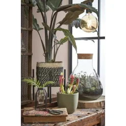 Mica Decorations Bonaparte Mand voor Planten Ø20 cm