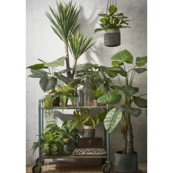 Mica Decorations Bonaparte Mand voor Planten Ø20 cm