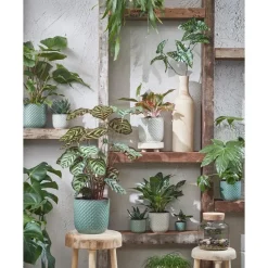 Mica Decorations Daan Bloempot - H20,5 x Ø21,5 cm - Groen