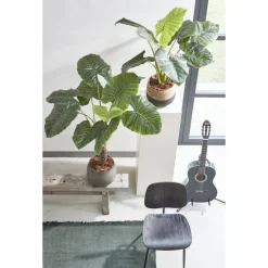 Mica Decorations Jorck Mand voor Planten - Set van 3 - Zwart