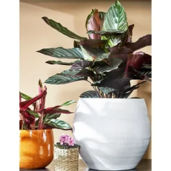 Mica Decorations Plantenpot - keramiek - geel glans - D18/H16 cm