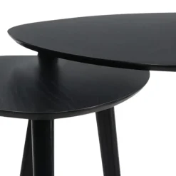 MISOU Salontafel Set van 2 Bijzettafel Diehoekig Zwart Bijzettafeltje