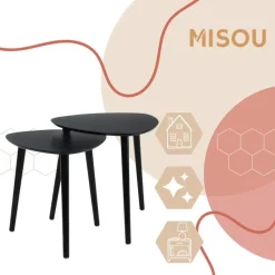 MISOU Salontafel Set van 2 Bijzettafel Diehoekig Zwart Bijzettafeltje