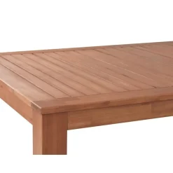 MONSANO - Tuintafel - Lichthout - 105 x 190 cm - Eucalyptushout