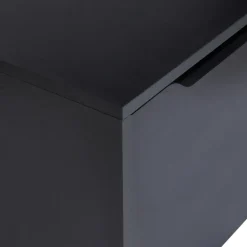 PETROLINA - Wastafelkast - Zwart - Vezelplaat