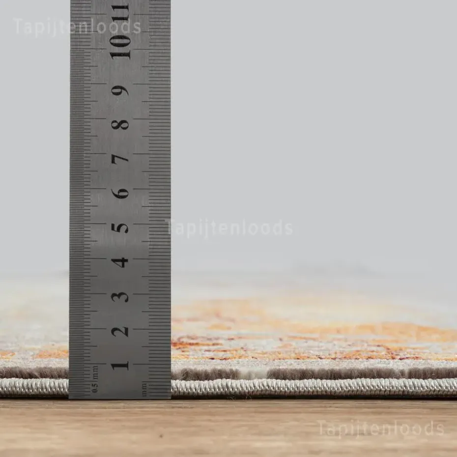 Picasso Feraghan Vintage Vloerkleed Multi / Beige Laagpolig - 240x340 CM