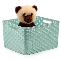 Plasticforte Opbergmand - Kastmand - kunststof - mintgroen - 28L