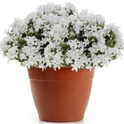 Plasticforte Plantenpot - terracotta bruin - 40x33 cm - kunststof