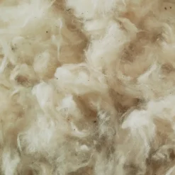 Polydaun hoofdkussen First Nature - 60x70 cm