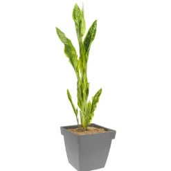 Pro Garden Plantenpot - grijs - D39 x H35 cm - kunststof
