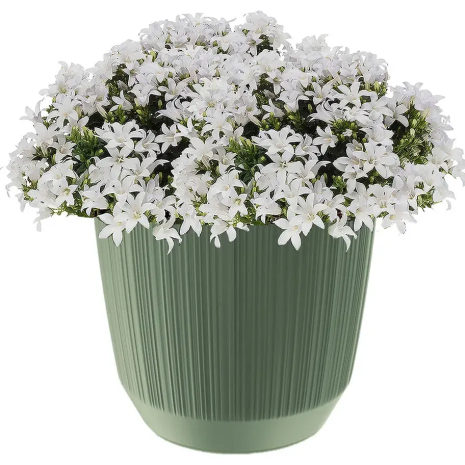 Prosperplast Plantenpot - stripe - olijfgroen - D20xH17 cm