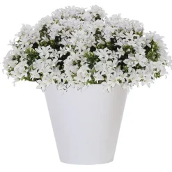 Prosperplast plantenpot - kunststof - brons - D40 x H37 cm