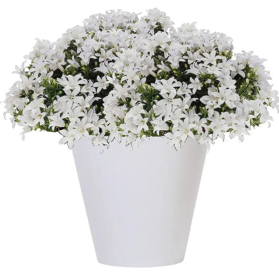 Prosperplast plantenpot - kunststof - brons - D40 x H37 cm