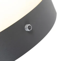 Qazqa buitenlampen met sensor emmerald grijs e27