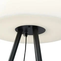 Qazqa staande buitenlampen virginia zwart geïntegreerde led