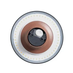 Qazqa wandlampen buiten skyf bronskleurig geïntegreerde led