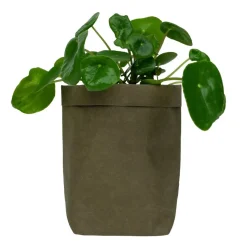 QUVIO Plantenzak uitwasbaar 10x10x20cm - Donker groen