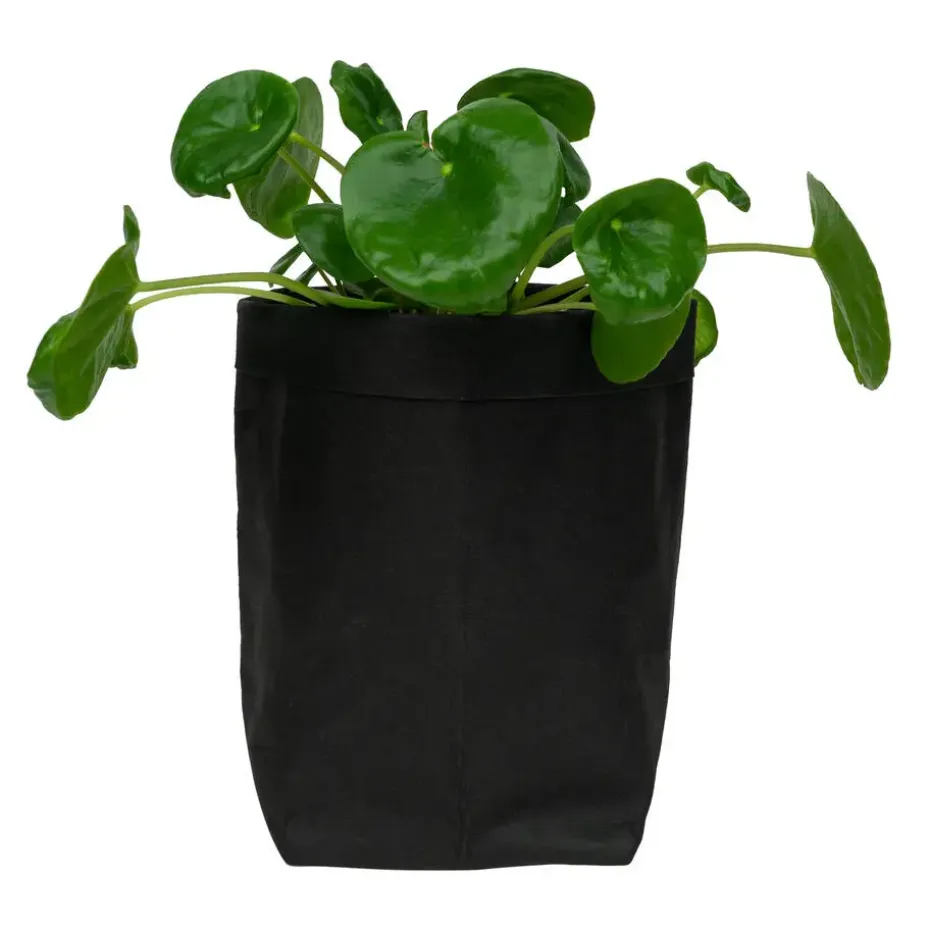 QUVIO Plantenzak uitwasbaar 10x10x20cm - Zwart