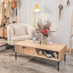 Salontafel met 1 lade van essen en metaal