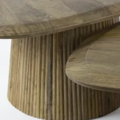 Salontafel Naturel Mangohout - Set van 2 - 93x72x43cm - Wave