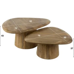 Salontafel Naturel Mangohout - Set van 2 - 93x72x43cm - Wave