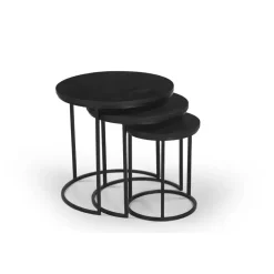 Salontafel Organisch - Zwart Mangohout - Set Van 3 - Kila