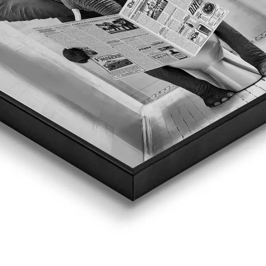 Schilderij Elephant Toilet - 50 x 50cm - Zwart-Wit